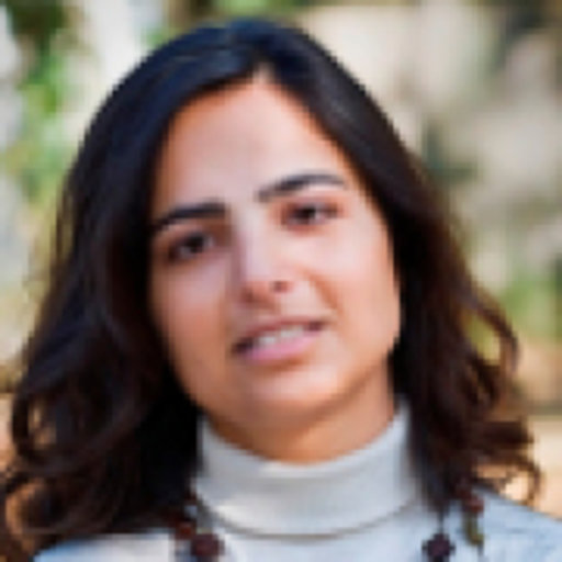 Professora Doutora L&iacute;gia Ferros